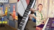 搞笑双人钢琴,搞笑双人钢琴的趣味之旅